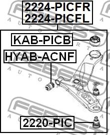 Febest 2224-PICFL - Важіль незалежної підвіски колеса autocars.com.ua