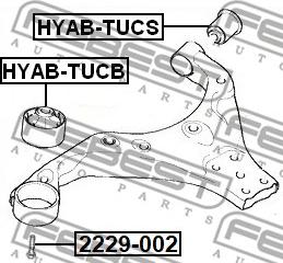 Febest 2229-002 - Болт кріплення, важіль autocars.com.ua