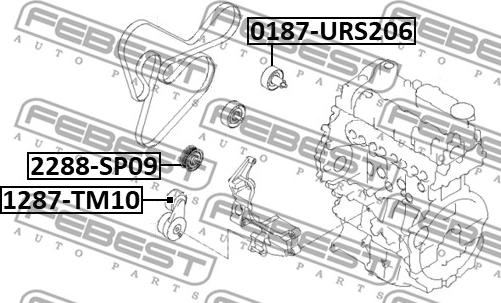 Febest 2288-SPD9 - ролик обвідної autocars.com.ua