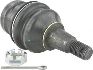 Febest 2320-Q5LOWF - Несучий / направляючий шарнір autocars.com.ua