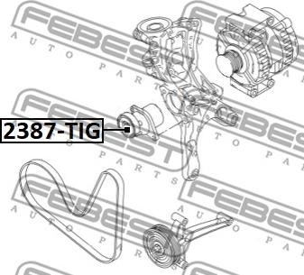 Febest 2387-TIG - Направляющий ролик, поликлиновый ремень avtokuzovplus.com.ua