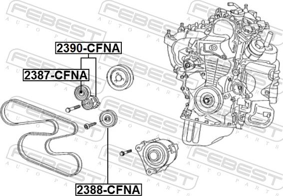 Febest 2390-CFNA - Натяжитель, поликлиновый ремень avtokuzovplus.com.ua