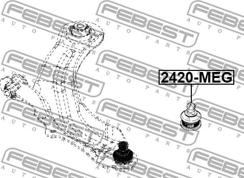 Febest 2420-MEG - Несучий / направляючий шарнір autocars.com.ua