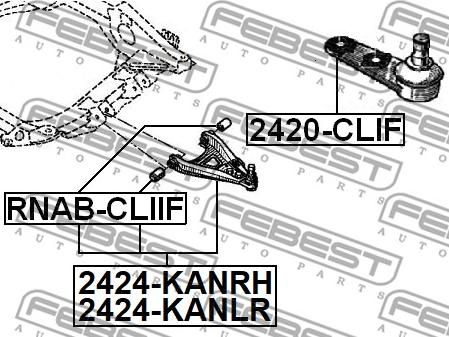 Febest 2424-KANRH - Рычаг подвески колеса avtokuzovplus.com.ua