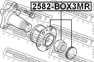 Febest 2582-BOX3MR - Маточина колеса autocars.com.ua