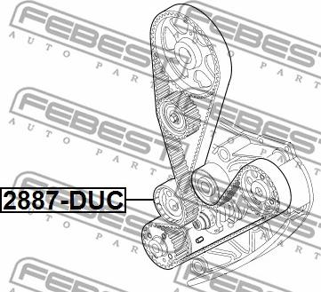 Febest 2890-DUC - Натяжна ролик, ремінь ГРМ autocars.com.ua