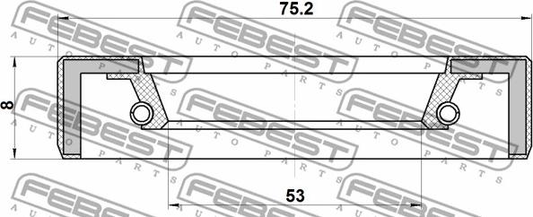 Febest 95FBY-55750808X - Уплотняющее кольцо, ступица колеса avtokuzovplus.com.ua