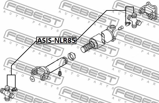 Febest ASIS-NLR85 - Хрестовина autocars.com.ua