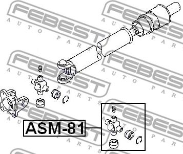 Febest ASM-81 - Шарнір, поздовжній вал autocars.com.ua