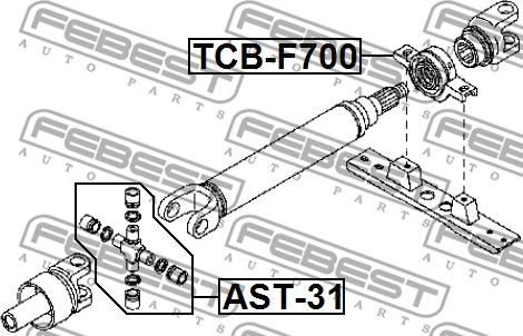 Febest AST-31 - Хрестовина autocars.com.ua