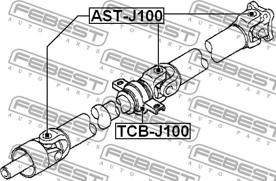 Febest AST-J100 - Хрестовина autocars.com.ua