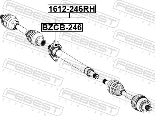 Febest BZCB-246 - Подшипник, приводной вал avtokuzovplus.com.ua