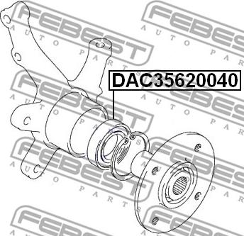 Febest DAC35620040 - Подшипник ступицы колеса avtokuzovplus.com.ua