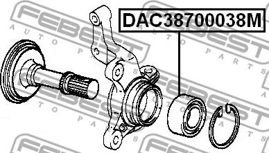 Febest DAC38700038M - Підшипник ступиці колеса autocars.com.ua