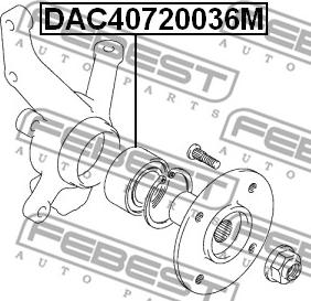 Febest DAC40720036M - ПОДШИПНИК СТУПИЧНЫЙ ПЕРЕДНИЙ 40x72x36 SUZUKI SPLASH 2008- autodnr.net