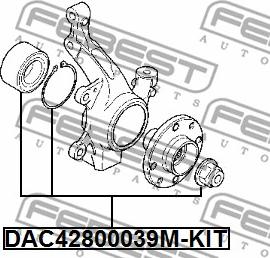 Febest DAC42800039M-KIT - Комплект подшипника ступицы колеса autodnr.net