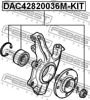 Febest DAC42820036M-KIT - Комплект підшипника маточини колеса autocars.com.ua