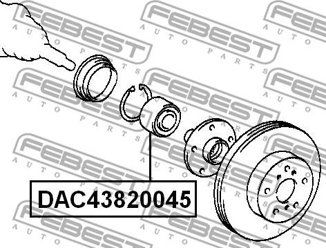 Febest DAC43820045 - Подшипник ступицы колеса autodnr.net