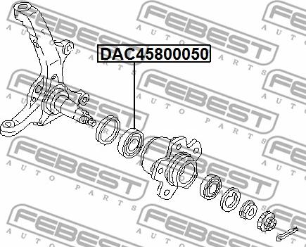 Febest DAC45800050 - Підшипник ступиці колеса autocars.com.ua