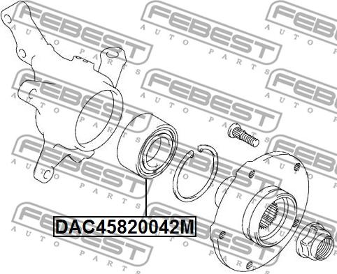 Febest DAC45820042M - Подшипник ступицы колеса avtokuzovplus.com.ua