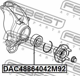 Febest DAC48864042M92 - Подшипник ступицы колеса autodnr.net