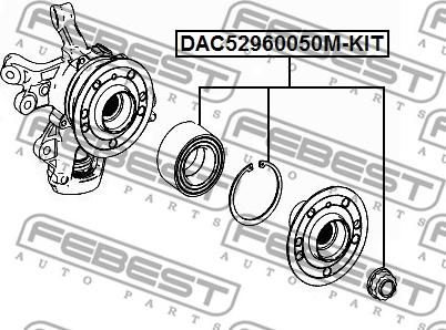 Febest DAC52960050M-KIT - Комплект подшипника ступицы колеса avtokuzovplus.com.ua