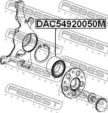 Febest DAC54920050M - Подшипник ступицы колеса avtokuzovplus.com.ua