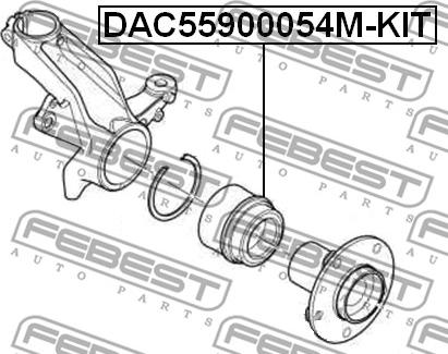 Febest DAC55900054M-KIT - Комплект підшипника маточини колеса autocars.com.ua