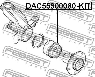 Febest DAC55900060-KIT - Комплект підшипника маточини колеса autocars.com.ua