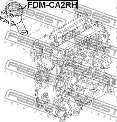 Febest FDM-CA2RH - Подушка, опора, подвеска двигателя avtokuzovplus.com.ua