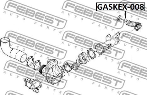 Febest GASKEX-008 - Уплотнительное кольцо, труба выхлопного газа avtokuzovplus.com.ua