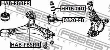 Febest HAB-FBBFR - Сайлентблок, важеля підвіски колеса autocars.com.ua