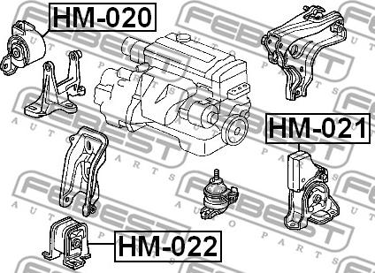 Febest HM-020 - Подушка, опора, подвеска двигателя avtokuzovplus.com.ua