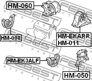 Febest HM-050 - Подушка, опора, подвеска двигателя avtokuzovplus.com.ua