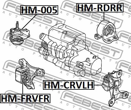 Febest HM-RDRR - Подушка, підвіска двигуна autocars.com.ua