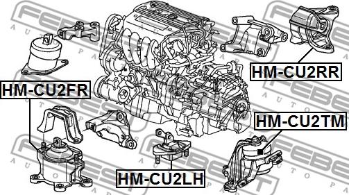 Febest HM-CU2LH - Опора двигуна - КПП autocars.com.ua