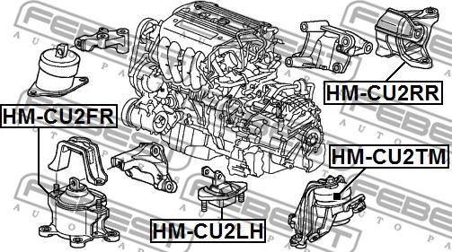 Febest HM-CU2LH - Подушка, підвіска двигуна autocars.com.ua