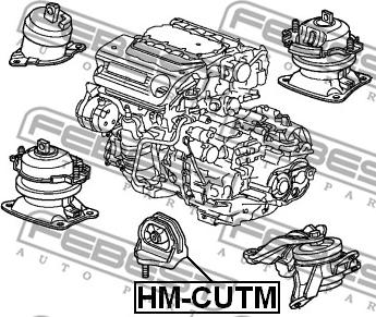 Febest HM-CUTM - Підвіска, автоматична коробка передач autocars.com.ua