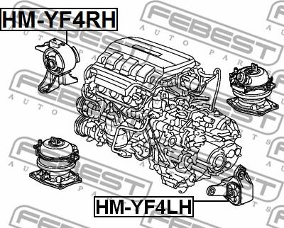 Febest HM-YF4RH - Подушка, підвіска двигуна autocars.com.ua