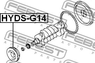 Febest HYDS-G14 - Шкив коленчатого вала autodnr.net