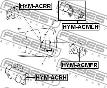 Febest HYM-ACRR - Подушка, опора, подвеска двигателя avtokuzovplus.com.ua