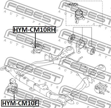 Febest HYM-CM10F - Подушка, опора, подвеска двигателя avtokuzovplus.com.ua