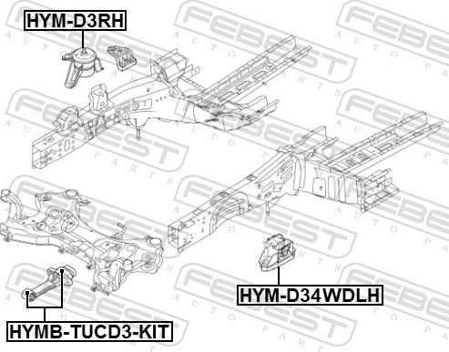 Febest HYM-D34WDLH - Подушка, підвіска двигуна autocars.com.ua