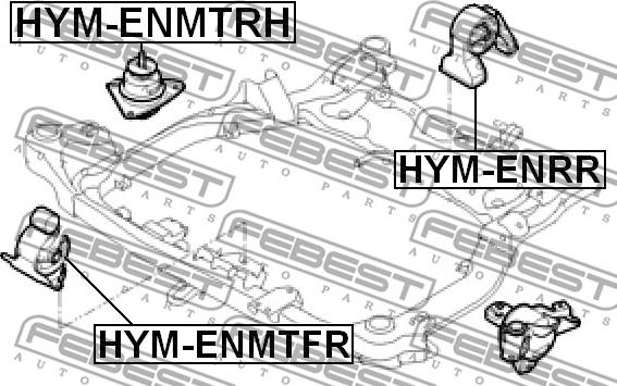 Febest HYM-ENRR - Подушка, опора, подвеска двигателя avtokuzovplus.com.ua