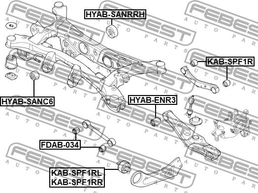 Febest KAB-SPF1RR - Сайлентблок, важеля підвіски колеса autocars.com.ua