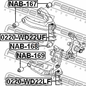 Febest NAB-167 - Сайлентблок, важеля підвіски колеса autocars.com.ua