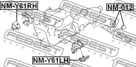 Febest NM-Y61RH - Подушка, підвіска двигуна autocars.com.ua