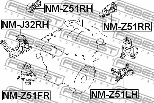 Febest NM-Z51FR - Подушка, підвіска двигуна autocars.com.ua