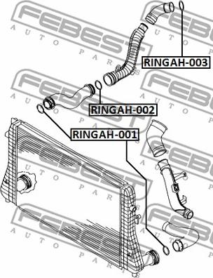 Febest RINGAH-001 - Уплотнительное кольцо, трубка нагнетаемого воздуха avtokuzovplus.com.ua