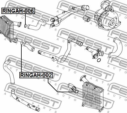 Febest RINGAH-006 - Уплотнительное кольцо, трубка нагнетаемого воздуха avtokuzovplus.com.ua